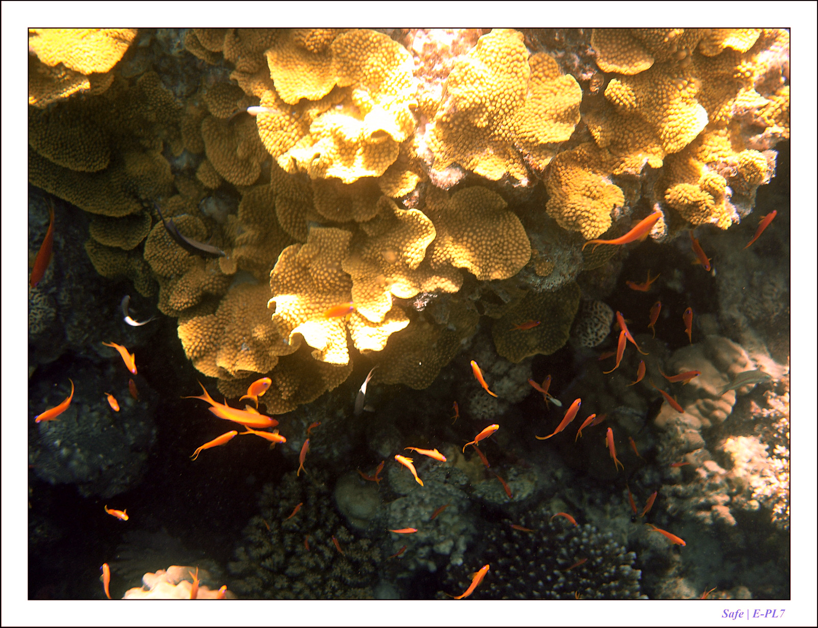 Hurghada - Juillet 2021 - 044